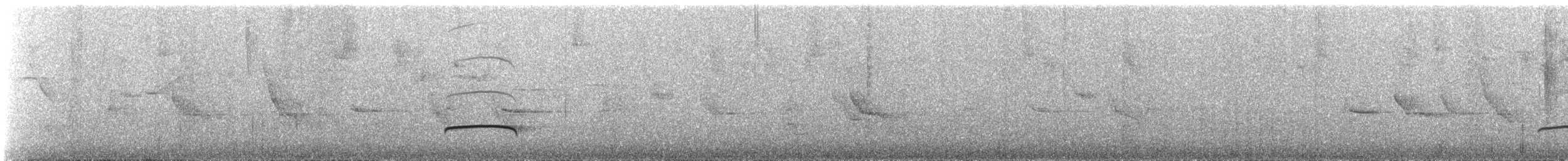 Çizgili Boğazlı Çalı Tiranı - ML537446