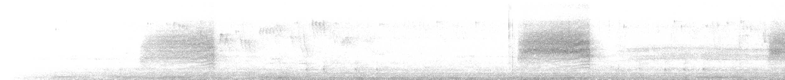 Southern House Wren - ML537447151