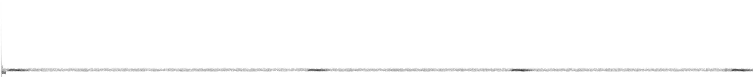 Northern Pygmy-Owl - ML537470821