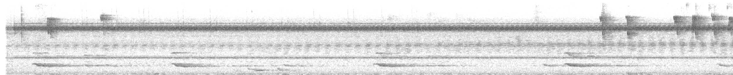 Желтогорлый тукан (swainsonii) - ML537490961