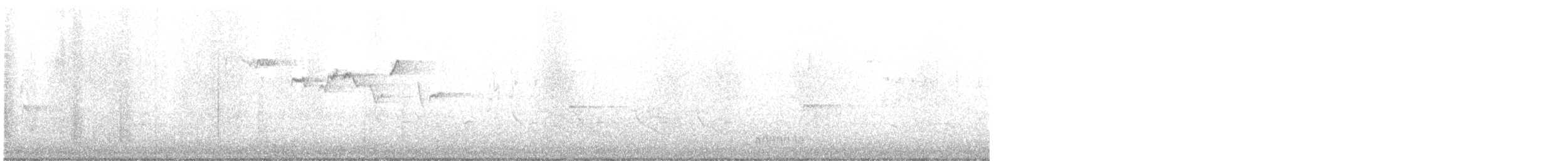Brown Creeper - ML537511011