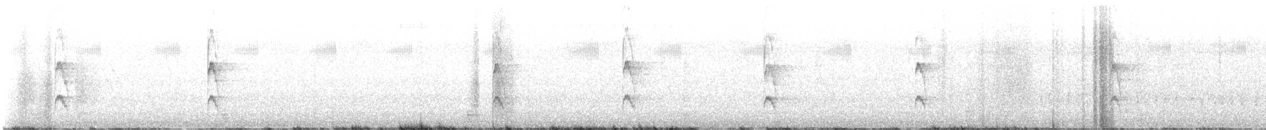 Red-cockaded Woodpecker - ML537517591