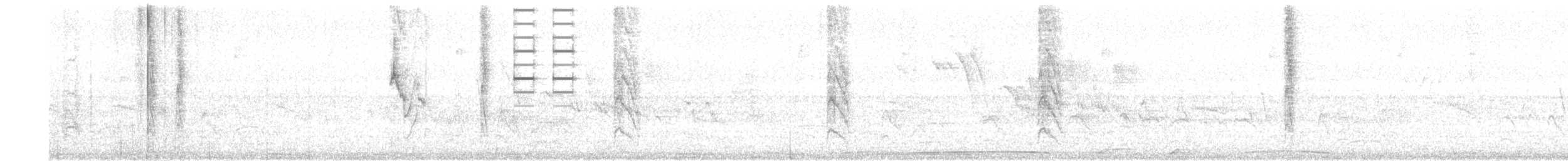 Double-collared Seedeater - ML537517781