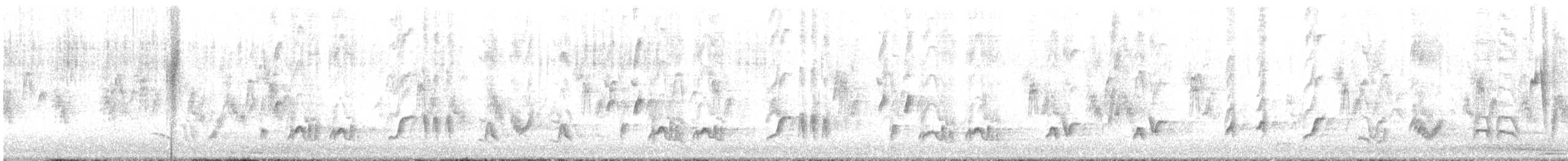Кривоклювый пересмешник - ML537529521