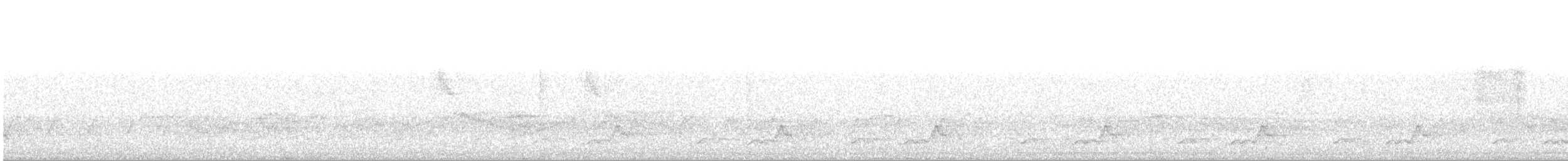 Schwarzkehl-Nachtschwalbe - ML53755421