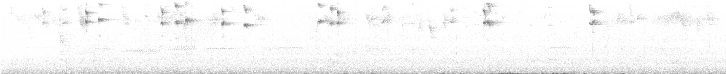 Zuckervogel [portoricensis-Gruppe] - ML537587591