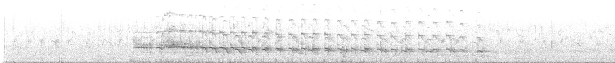 רלית אפריקנית - ML537612131