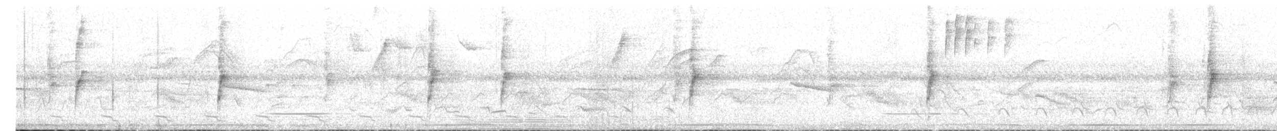 Sulphury Flycatcher - ML537616131