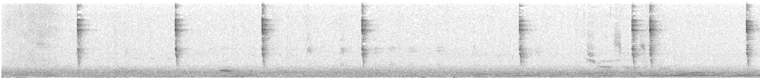 Тихоокеанский крапивник - ML537621491