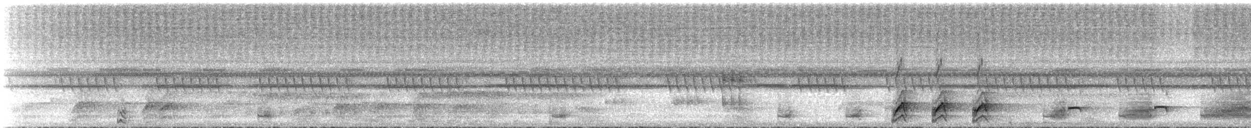 Frogs and Toads - ML537718