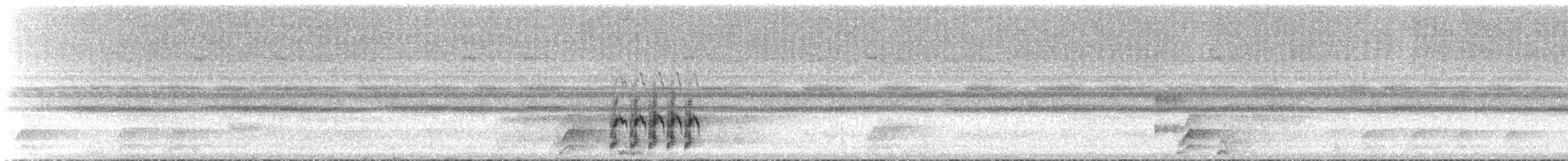 Frogs and Toads - ML537720