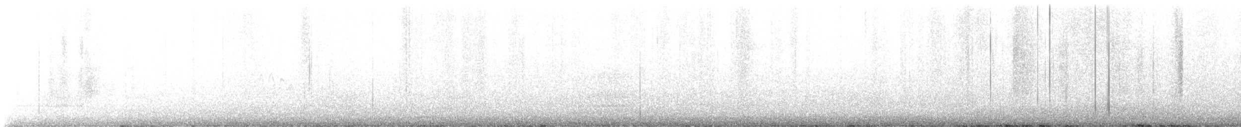 White-breasted Nuthatch - ML537726521