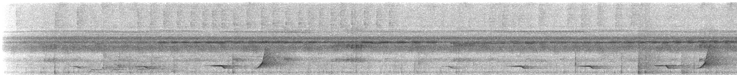 Oriole Whistler - ML537733