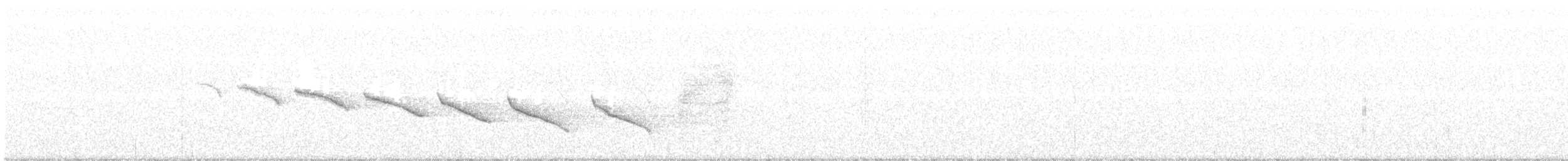 Canyon Wren - ML537774551