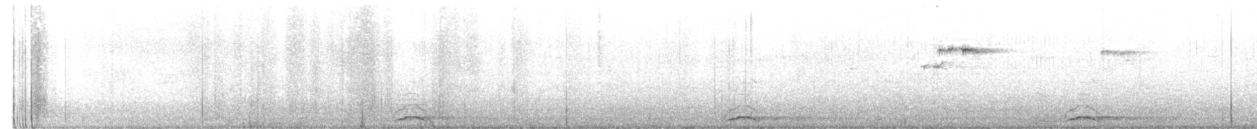 Ошейниковая совка - ML537813011