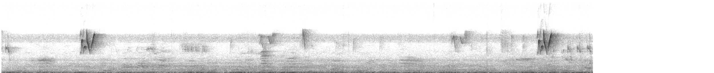 østsanger (obscuratus) - ML537865121