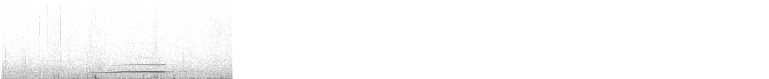 Northern Saw-whet Owl - ML537902611