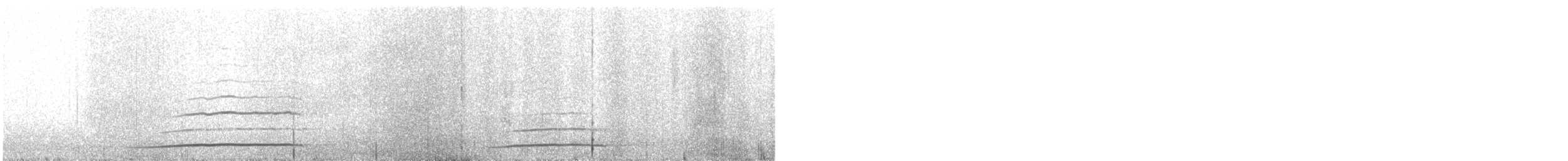 Northern Saw-whet Owl - ML537902621