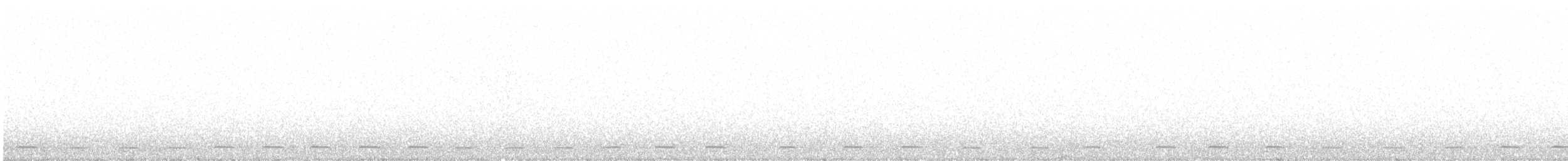 Northern Saw-whet Owl - ML537902671