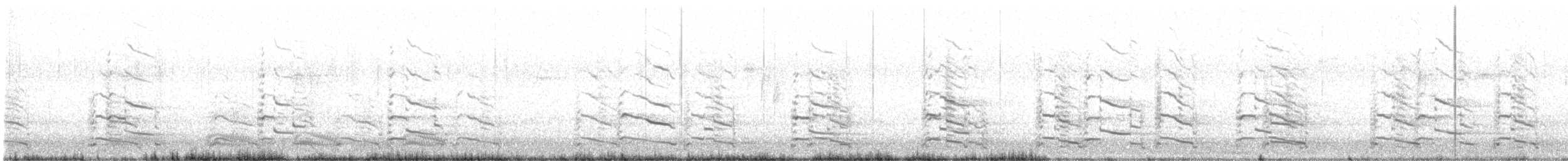 racek stříbřitý (ssp. smithsonianus) - ML537925111