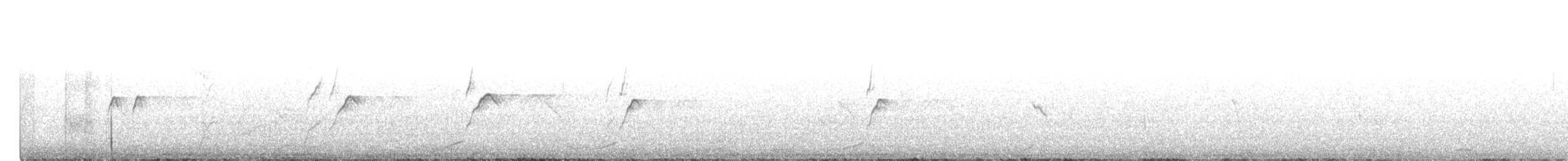 kačenka bělohřbetá - ML537940931
