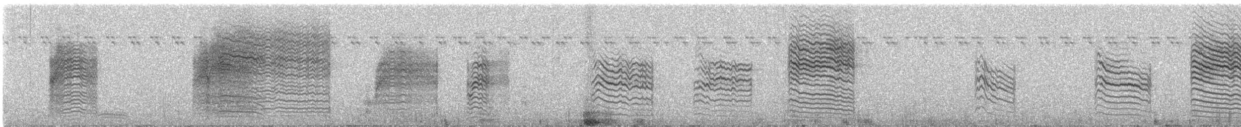 Cisticole à couronne dorée - ML537991971