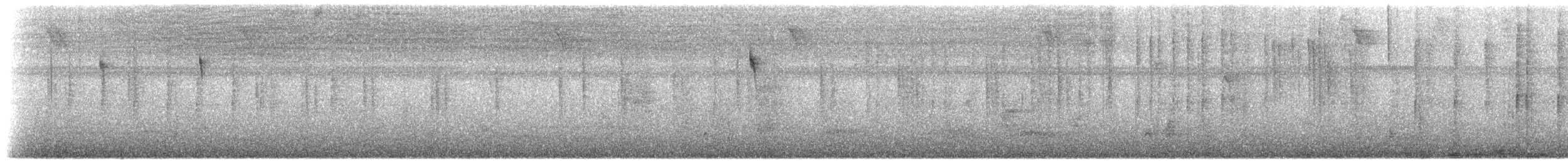 Ariane de Sophie - ML537992351