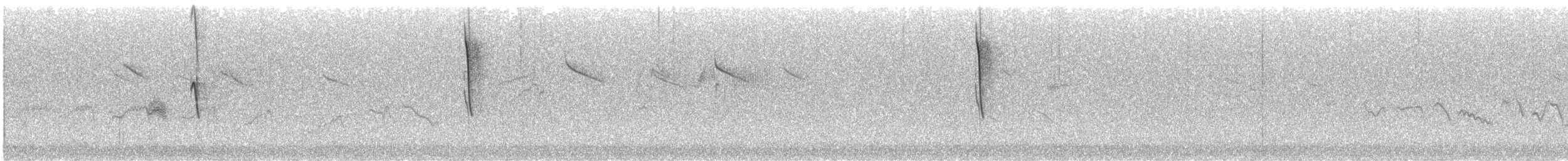 Cisticole des joncs - ML538001311