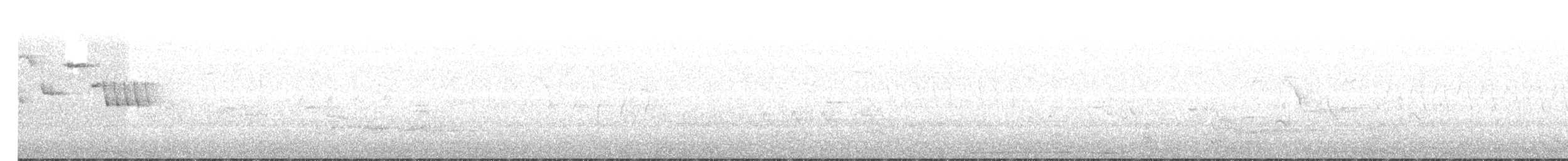 Волове очко (підвид indigenus) - ML53800171