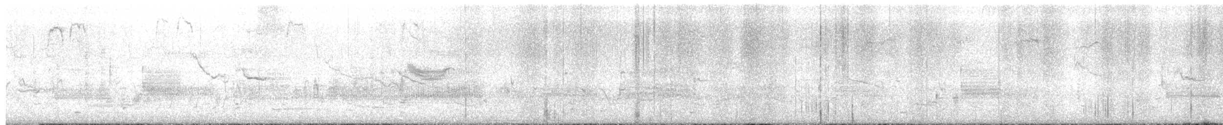 שחרורית אדומת-כנף - ML538005891