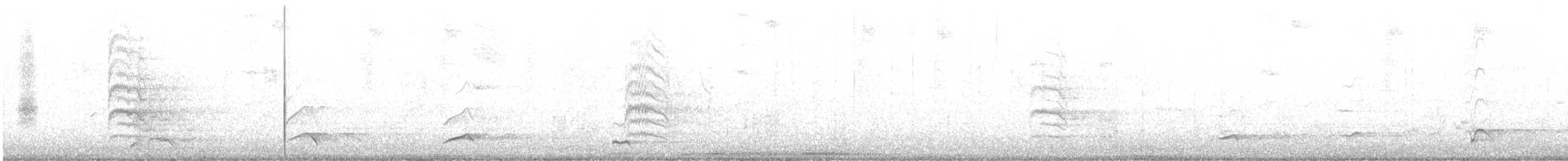 Nanday Papağanı - ML538112061