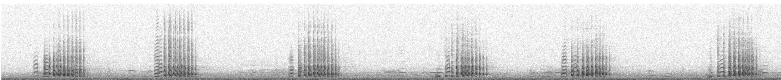 jeřáb kanadský - ML538180101