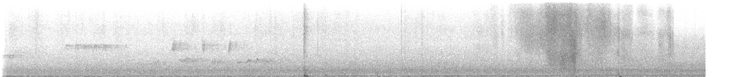 Mirlo Acuático Norteamericano - ML538198981