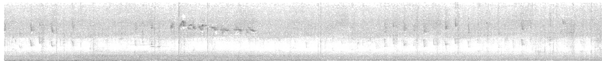 New Zealand Fantail - ML538227001