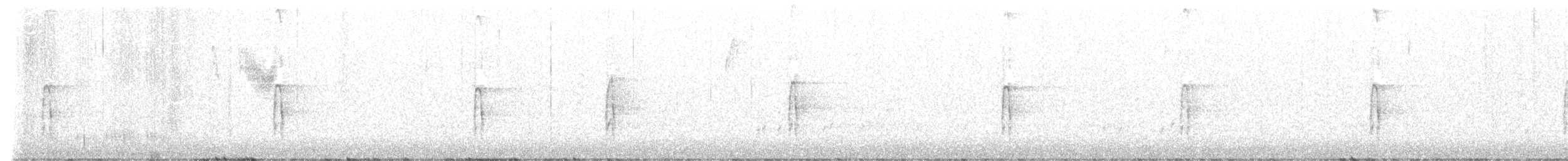 Hairy Woodpecker - ML538252911