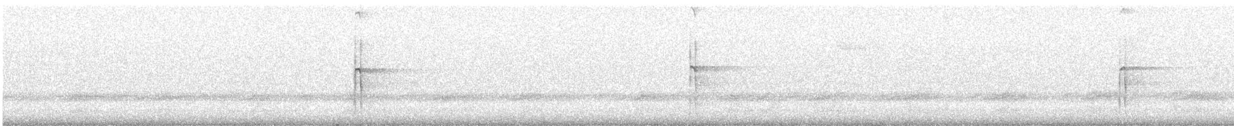 strakapoud americký [skupina villosus] - ML538312851
