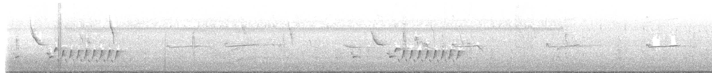 Troglodyte de Caroline - ML538319071