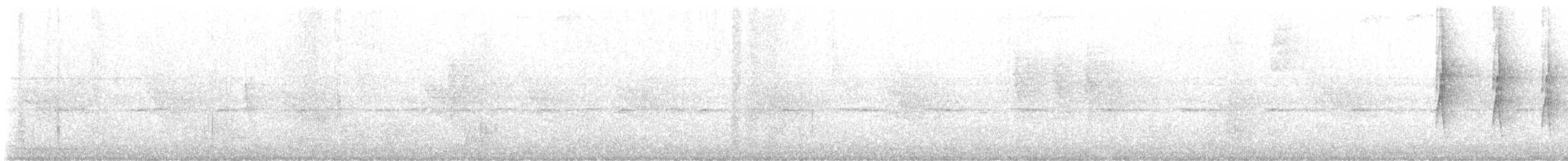 Мурав’янка-куцохвіст плямиста - ML538336401