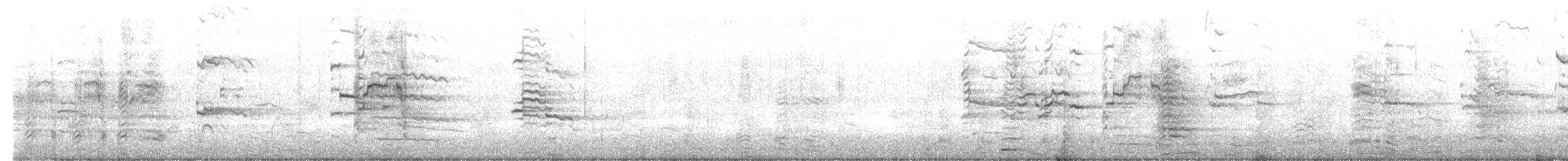 クロワカモメ - ML538412461