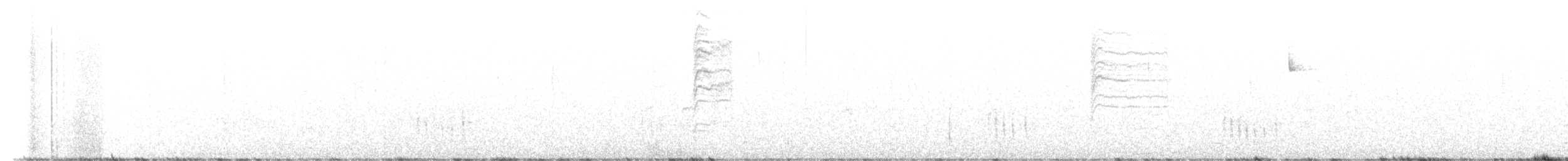 Perlita Grisilla (caerulea) - ML538488391