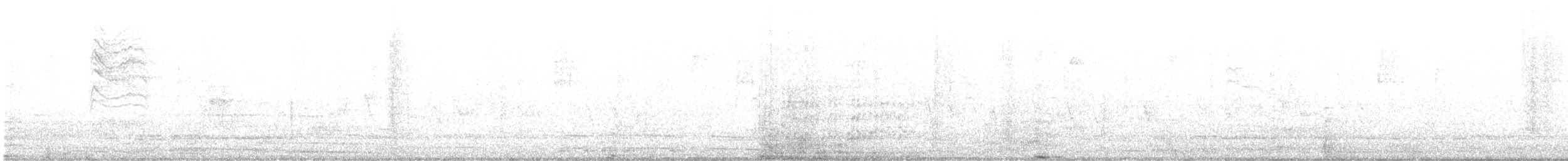 Perlita Grisilla (caerulea) - ML538520221