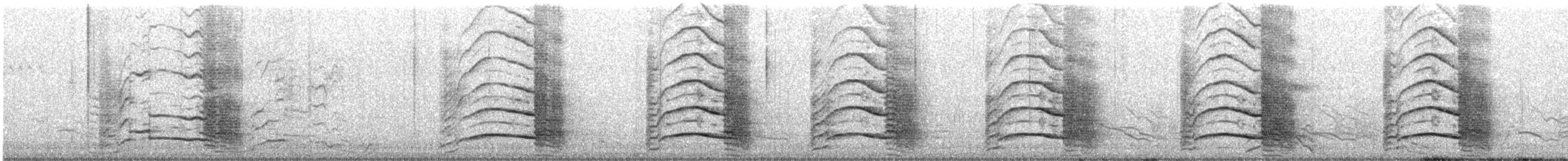 Cacatoès funèbre - ML538535961