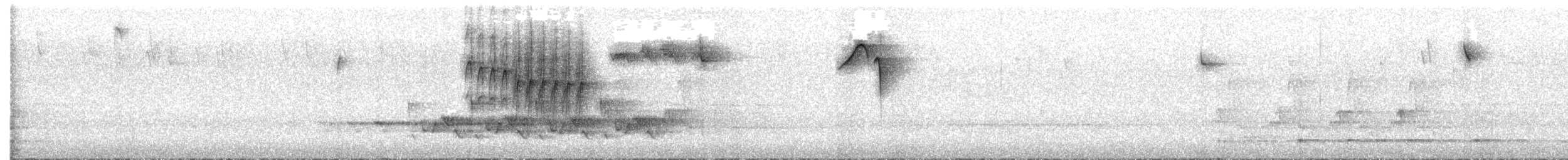 Carolina Chickadee - ML538593221