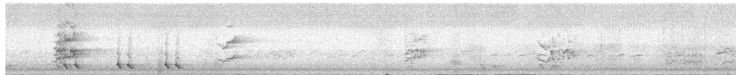 White-eared Honeyeater - ML538601441