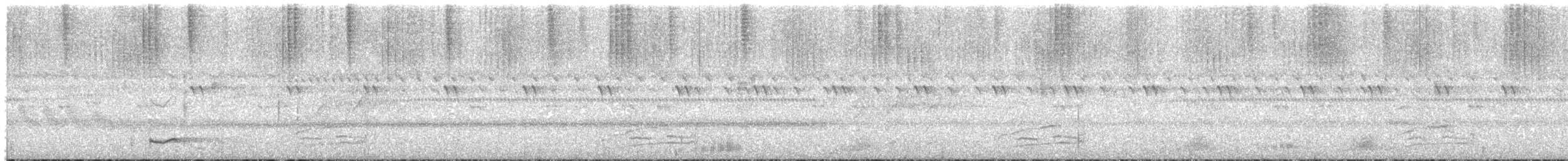 lelek netopýří (ssp. nattereri) - ML538625811
