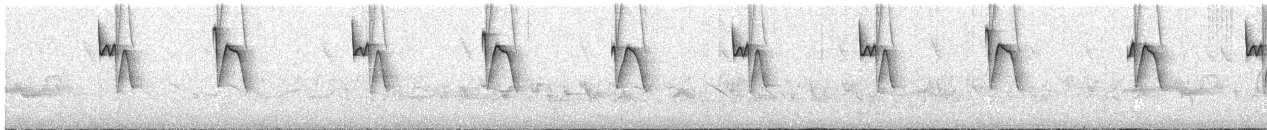 Broad-tipped Hermit - ML538626121