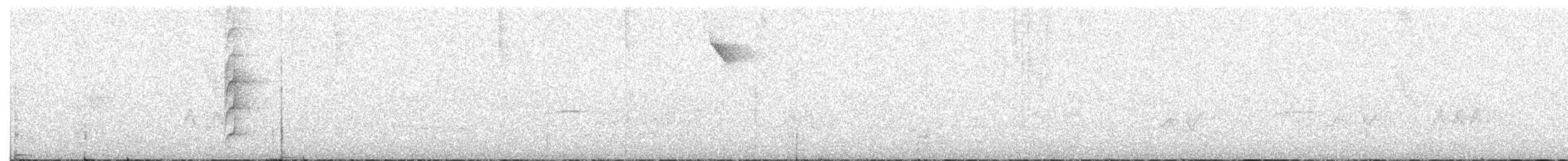 White-throated Spadebill - ML538626431