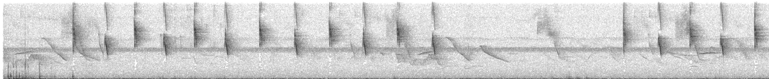 White-vented Violetear - ML538627721