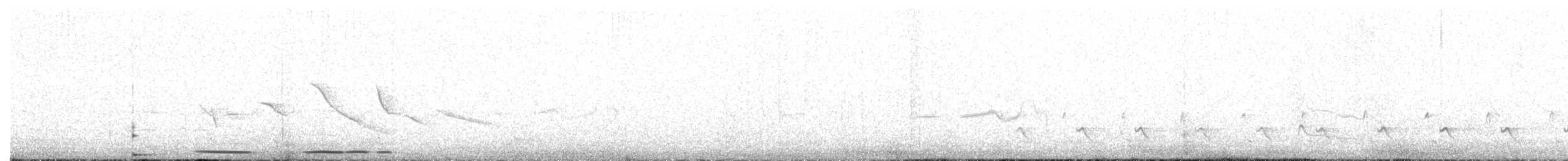 Tinamou noctivague (zabele) - ML538628591