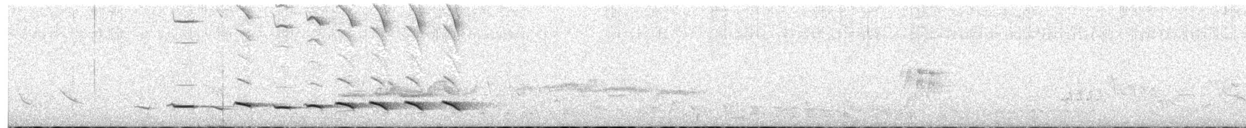 White-browed Antpitta - ML538629301